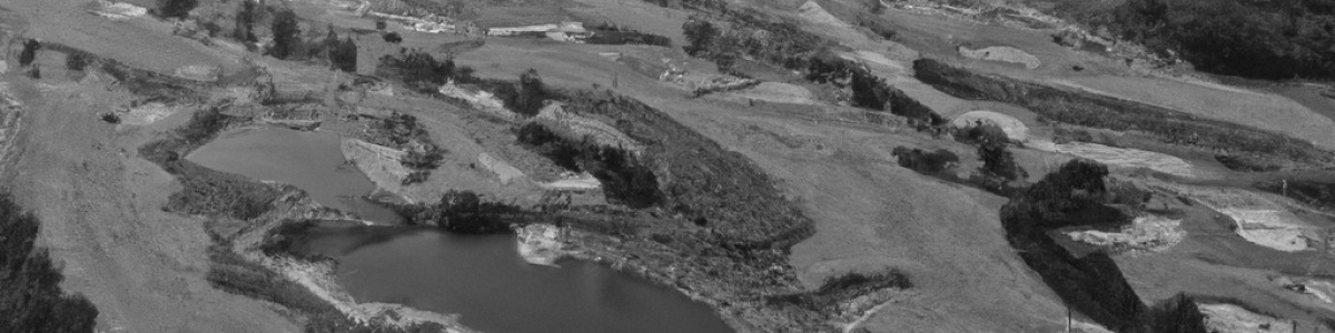 DALL·E 2022-12-30 15.36.07 - Make the same picture in black and white
